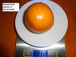 Оранжевый персик от Кадзасовой 18.08 вес_.jpg