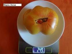 Марта Логан 16.08 вес.jpg