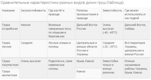 FireShot Capture 910 - Подвой для груши, выращивание из семян, основные виды и прочее - diz-cafe.com.png