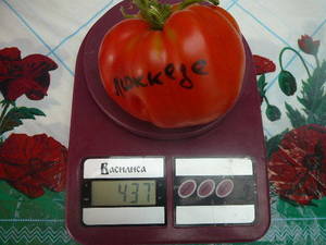2047819296_7..20001.thumb.JPG.b178024ff62f975dc9dec04f4a553791.JPG