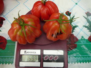 465064821_7..20002(27).thumb.JPG.4139ccbfb25f6dde4253f709b8f2f66f.JPG