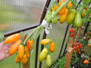 DSCN2699.JPG