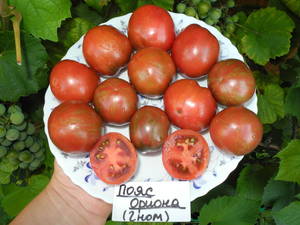 DSCN3727.JPG
