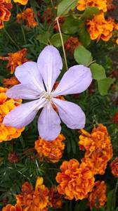 IMG_20200909_104608.jpg