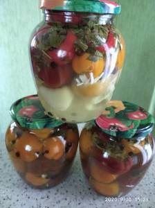 IMG_20200910_152955.jpg