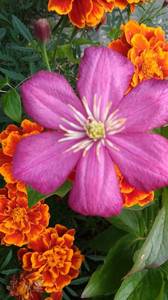 IMG_20200911_080614.jpg