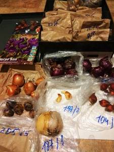 IMG_20200911_222323.thumb.jpg.4a803cb694709b8a4321c9a371e39445.jpg