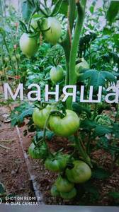IMG_20200929_192625.jpg