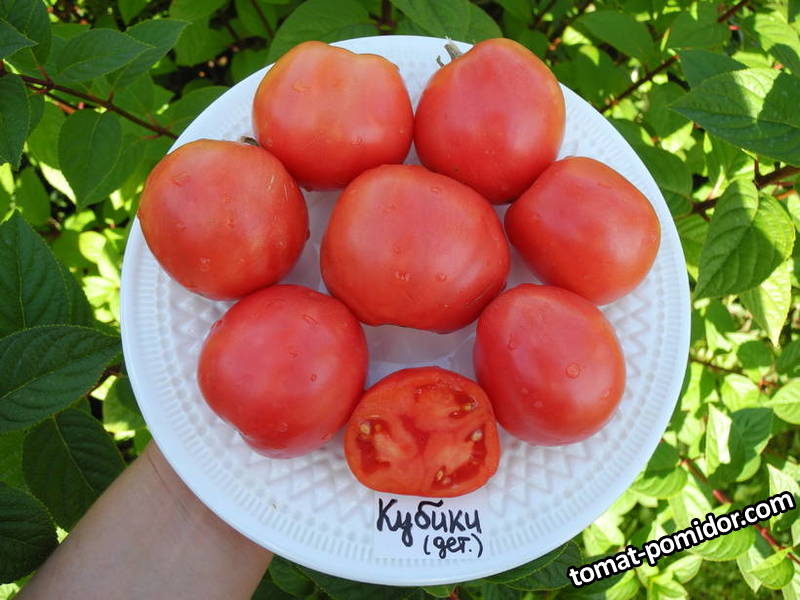 Кубики.JPG