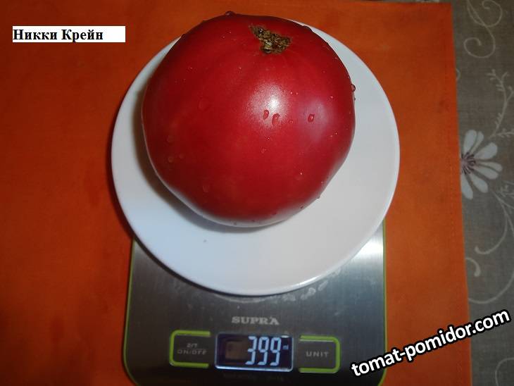 Никки Крейн 12.09 вес_.jpg