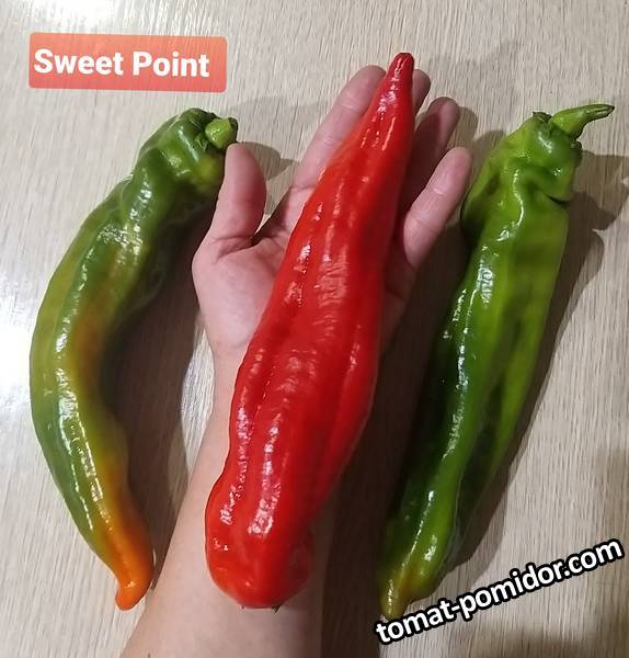 Sweet Point