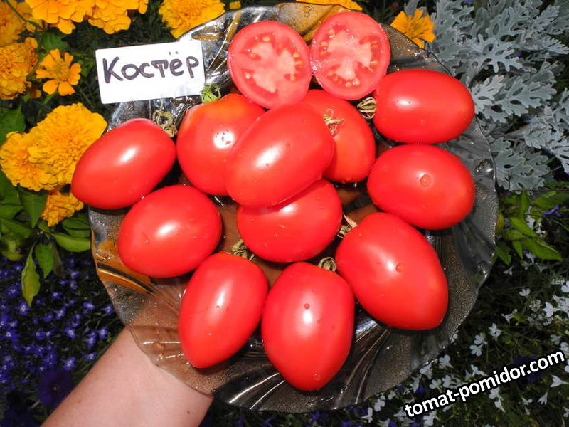 Костер.JPG