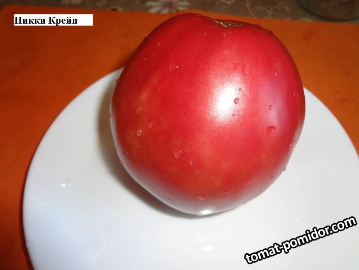 Никки Крейн 12.09_.jpg