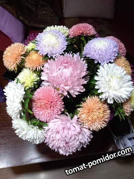 IMG_20200910_233719.jpg