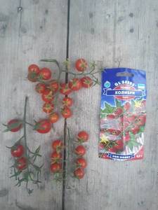 mir_20200905_181411.jpg
