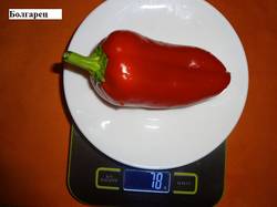 Болгарец 16.09 вес.jpg_.jpg