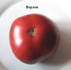 Ворлон.jpg