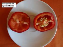 Просто Мария 30.08 разрез_.jpg