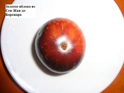 Золотое яблоко из Сен-Жан-де-Борежара (Pommedior Saint Jean Beauregard) 05.09_.jpg