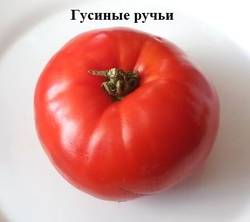 Гусиные ручьи.jpg