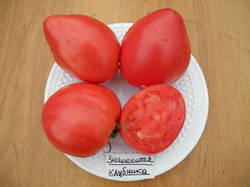 Знаменитая клубника Миссис Шлаубах (Mrs. Schlaubaugh’s Famous Strawberry).JPG