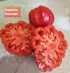 Корабль Бакхэра