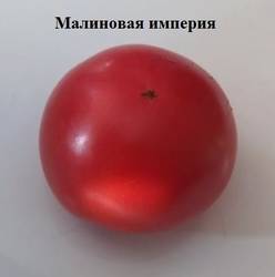 Малиновая империя.jpg