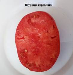 Шурины кораблики срез.jpg