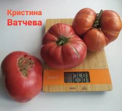 Кристина Ватчева