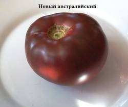 Новый австралийский 1.jpg