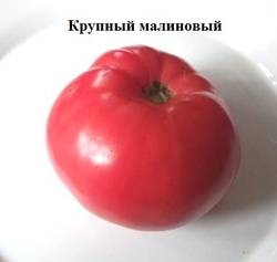 Крупный малиновый.jpg