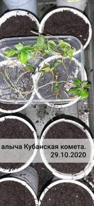 1343779082_1.thumb.jpg.da2a73b1f1981764c56ff55bedb9e74d.jpg