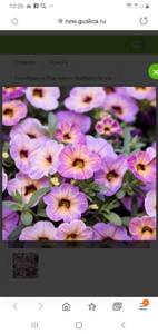 Screenshot_20201010-102619_Samsung Internet.jpg