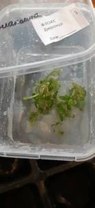 1813075015_.thumb.jpg.086c1253d2bc7951845113ec97f33c76.jpg