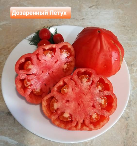 Томат петух характеристика