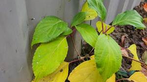 20201023_135004.jpg