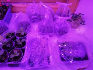 IMG_20201027_203113 (800x600).jpg