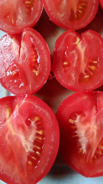 Славянка - С — сорта томатов - tomat-pomidor.com - отзывы на форуме