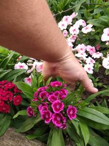 IMG-20201017-WA0012.jpg