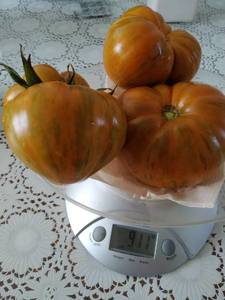 IMG_20190921_145237.jpg
