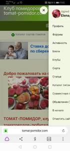 Screenshot_20201015_094553_com.yandex.browser.jpg