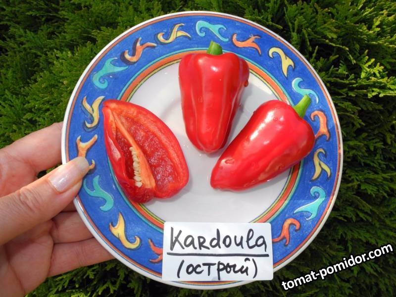 Kardoula (острый перец).JPG