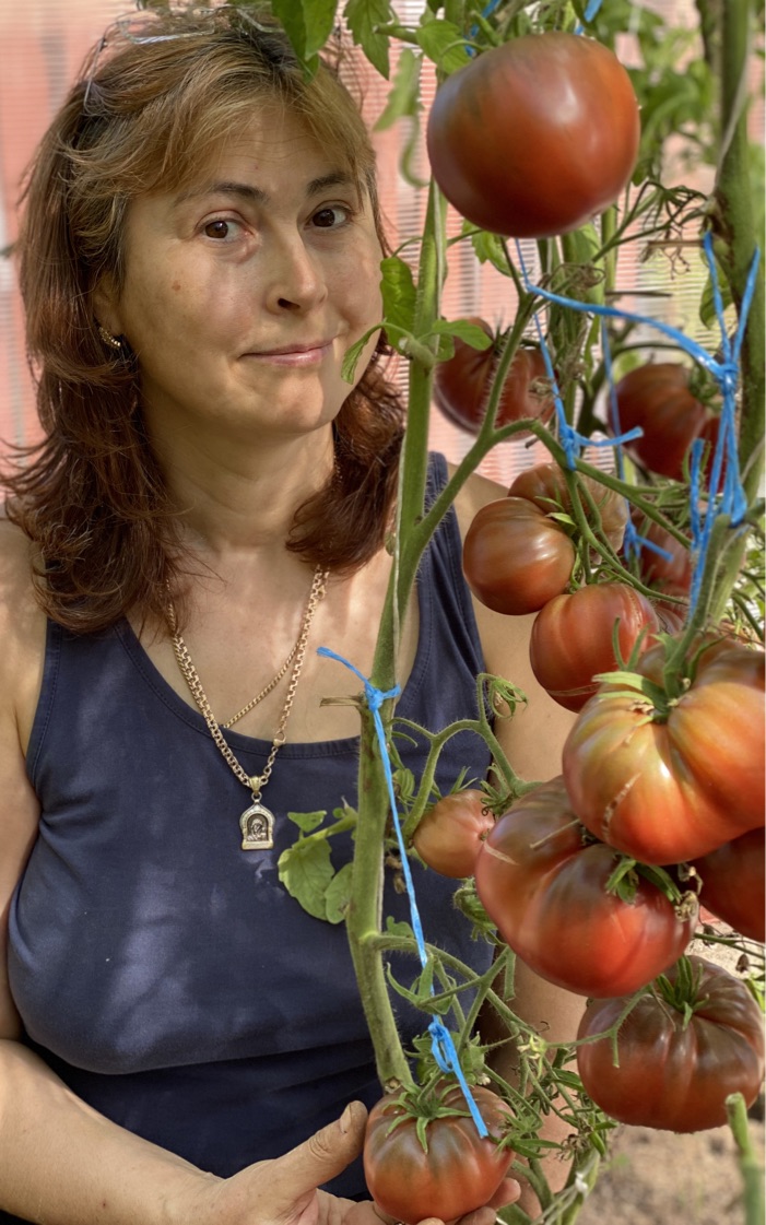 Блоги - сад, огород, дача - Клуб помидороводов - tomat-pomidor.com