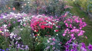 IMG_20200812_184932_photo-resizer.ru (1).jpg