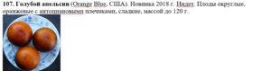 2019594062_.thumb.png.ebd70a316baead0304cc2fee8b1a028d.png