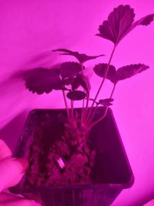 20201128_182243.jpg