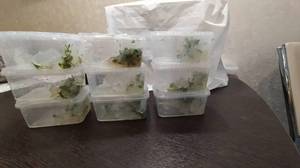 WhatsApp Image 2020-11-19 at 15.27.54.jpeg