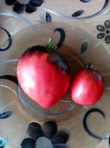 IMG_20200719_210037.jpg