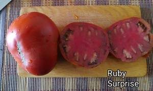 IMG_20200820_154013.thumb.jpg.1fcd507c6718d4da522d1d584d2afe05.jpg