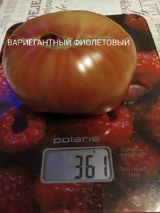 IMG_20201103_001251.jpg